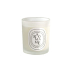 Candles